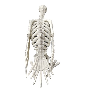Halloween Spooky Vibe Skeleton Decorations Horror Scene Props <b>Animal</b> Skeleton Decoration for Halloween Party Decoration - Product Image 3