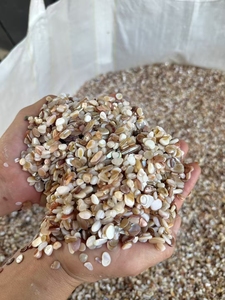 Groothandel in gebroken zeeschelpen, nagelknippers, kleurrijke Tamsui rivierparelschelpen, nageldecoraties - Product Image 5