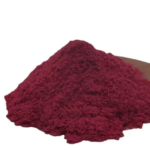 Chine approvisionnement d'usine vitamine C Nature acérola cerise extrait poudre séchée acérola cerise poudre tarte cerise poudre