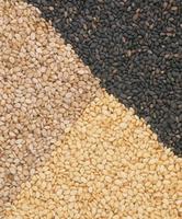 Trieuse optique CCD commerciale pour céréales : machine de tri pour éliminer les impuretés, les pierres et les grains inavariés