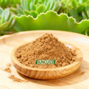 ผงสกัด <span class=keywords><strong>Kalanchoe</strong></span> pinnata จากธรรมชาติสำหรับใช้ในอาหารเครื่องสำอางและอาหารเสริม - Product Image 1