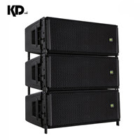 Système de sonorisation professionnel actif à double ligne de 10 pouces avec une puissance de crête de 2200 W contrôlée par DSP pour une utilisation en DJ en extérieur