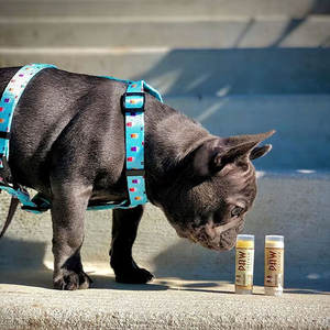 Set di Balsamo per Zampe OEM/ODM a Marchio Privato, Mini Crema Idratante e Protettiva Naturale per Naso e Zampe di Cani - Product Image 2