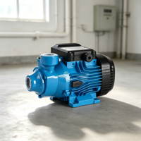 Pompe haute pression commerciale Yinjia VM22 10 bars 220V 60Hz 0.3HP avec turbine en laiton, moteur à bobinage en cuivre, joint en céramique, monophasée