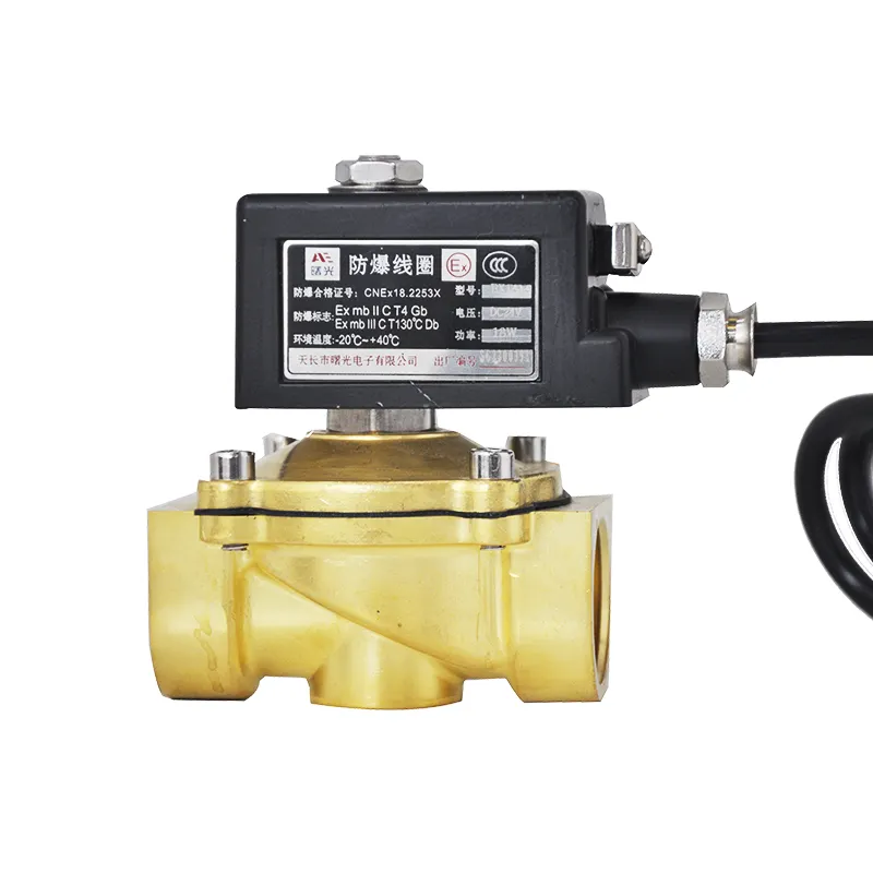 H2 Fuel gas Natural CNG gas CT4 explosive-proof grade Explosion-proof solenoid valve