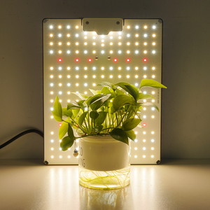 Lampe LED pour plantes 100W, spectre complet, panneau de culture avec protection IP54 pour la culture en intérieur et les plantes de jardin domestique - Product Image 6
