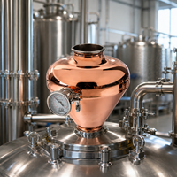 Équipement de distillerie Towin : Moteur en cuivre type « Oignon »/« Casque » 250/300/400mm, taille réglable pour la distillation de boissons et de vin