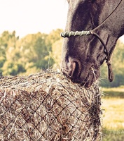 Filet à foin enveloppant pour balles rondes, mangeoire suspendue pour chevaux