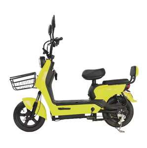 OEM/ODM Vélo électrique <span class=keywords><strong>cargo</strong></span> 2 places nouveau modèle de vélo électrique 350W 48V batterie cadres kit vintage avec OEM/ODM - Product Image 6