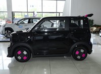 Panda 2025, version Panda Kart, nouveau véhicule électrique MINI, haute vitesse mais prix bas, avec une autonomie de 210 km