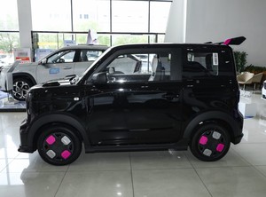 <span class=keywords><strong>Panda</strong></span> 2025, version <span class=keywords><strong>Panda</strong></span> Kart, nouveau véhicule électrique MINI, haute vitesse mais prix bas, avec une autonomie de 210 km - Product Image 4