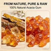 Poudre de gomme arabique de haute pureté, qualité alimentaire, gomme d'acacia pour boissons, bonbons, pâtisserie, cosmétiques, épaississant, émulsifiant, stabilisateur