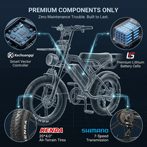จักรยานไฟฟ้า QMWHEEL V20 Pro ขนาด 20 นิ้ว ยางใหญ่ แบตเตอรี่ 48V 15.6AH มาตรฐาน CE EEC COC คลังสินค้า EU อิตาลี ระบบกันสะเทือนคู่ - Product Image 4