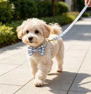 Strong <b>Light</b> Blue Plaid Polyester <b>Dog</b> Collar Leash Set Featuring Lovely Retro Design Sturdy Hook Buckle - Product Image 5
