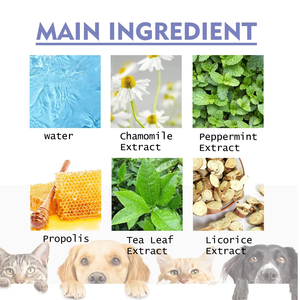 Suministros de espray de limpieza de dientes ecológicos para la higiene felina y canina Cuidado de gatos y perros - Product Image 6