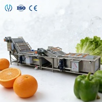 Machine de nettoyage industrielle personnalisée à bulles d'air pour l'emballage des légumes, machine à laver les pommes de terre et les légumes, machine de nettoyage du gingembre