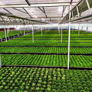 Material Resistente a Impactos y con Protección UV – Ideal para Agricultura Ecológica, Laboratorios de Investigación y Producción de Cultivos Especializados - Product Image 3