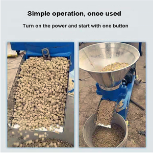 Volaille poulet canard oie bétail poisson crevette animal bétail cheval mouton cochon <span class=keywords><strong>lapin</strong></span> granulateur grand et petit alimentation <span class=keywords><strong>domestique</strong></span> g - Product Image 6