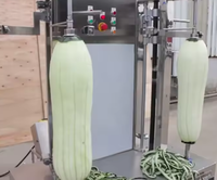 Ananas Dunschiller Machine Ananas Snijmachine Ananas Sap Maken Machine Te Koop