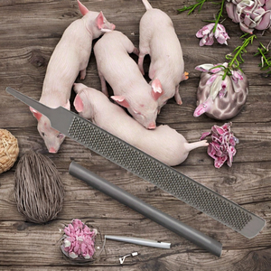 Pince chirurgicale vétérinaire en acier inoxydable durable pour la castration et l'élimination des queues de porcs et de moutons - Product Image 3
