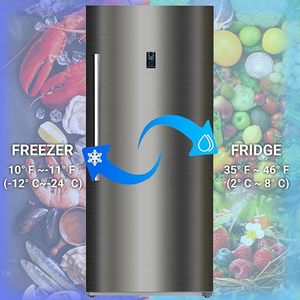21Cuft 594L Stainless Steel Convertible Refrigerator Freezer Automatic Defrost Upright with <b>LED</b> Display - Product Image 1