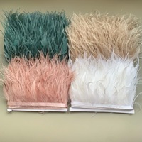 Robe de performance pour célébrations de vacances, avec plumes d'autruche de 10-15 cm et bordure en dentelle de plumes d'oie, accessoires vestimentaires