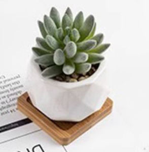 Mini Suculentas Artificiales de Alta Calidad, Simples, de PVC, Portátiles, para Decoración, Pequeñas Plantas en Maceta, Regalos Promocionales de Negocios - Product Image 2