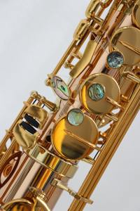 <span class=keywords><strong>Saxophone</strong></span> <span class=keywords><strong>alto</strong></span> <span class=keywords><strong>droit</strong></span> en laiton doré avec laque transparente, emballage OEM, tonalité EB, style Focustyle - Product Image 2