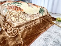 Couverture en molleton Raschel Minky ultra douce et portable, taille Queen, 6 kg, pour l'hiver, idéale pour dormir