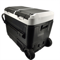 Glacières électriques à double zone d'usine, mini-réfrigérateur de camping, DC AC 12v, batterie amovible, réfrigérateurs de voiture avec batterie externe