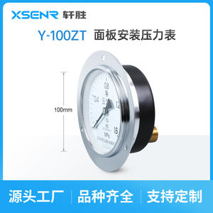 Manomètre analogique Suzhou XuanSheng Y100ZT 100 mm 1,6 MPa, type panneau axial avec bordure - Product Image 4