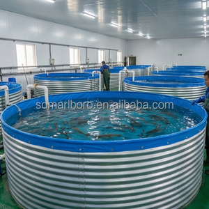 ระบบเพาะเลี้ยงสัตว์น้ำแบบกำหนดเอง <span class=keywords><strong>บ่อ</strong></span>เลี้ยง<span class=keywords><strong>ปลา</strong></span>ทิลาเปียชุบสังกะสีแบบจุ่มร้อน ถังเลี้ยงปลาดุกทรงกลมที่ทนทาน - Product Image 6