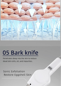 Appareil portable d'hydrothérapie faciale et de dermabrasion pour l'élimination des impuretés cutanées avec équipement de lifting du visage à usage domestique - Product Image 6