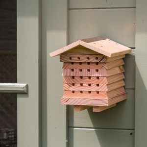 Commercio all'ingrosso personalizzato <span class=keywords><strong>in</strong></span> legno naturale insetto Hotel carpentiere Bee House Mason Bee House - Product Image 5