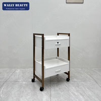 Chariot de spa professionnel, chariot de salon de beauté, chariot d'esthéticienne mobile avec 2 tiroirs, étagère ouverte, serrure et roulettes