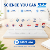 Modèle de Mitose et de Méiose des Cellules Végétales et Animales, Modèle de Démonstration Pédagogique de Biologie pour Laboratoire Scolaire CE/ISO/ROHS/CNAS