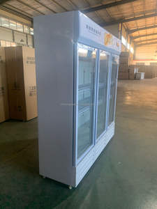 Refrigerador Vertical de Bebidas con Enfriamiento Directo de Gran Capacidad y 3 Puertas para Supermercado - Product Image 2