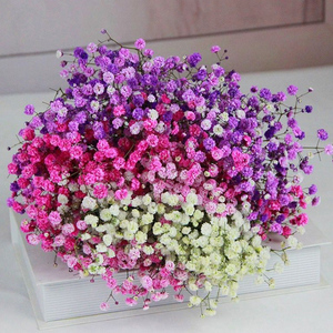 Multi Cores Flores Grinaldas Respiração Natural do Bebê Preservada Flores e Plantas para Long-Lasting Home Decor Arranjos do casamento - Product Image 2