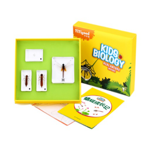 Gelsonlab HSKS-1719 Piccolo granchi e granchi eremita in riva al mare Incorporato biologico campioni Insegnamento incorporato campioni - Product Image 2