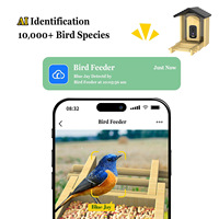 Mangeoire à oiseaux intelligente en bambou personnalisée en usine avec reconnaissance d'oiseaux par IA, caméra HD 5MP intégrée, batterie 4000 mAh et alimentation solaire