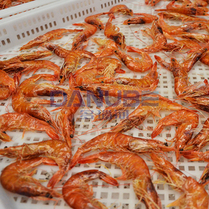 เครื่องอบแห้งปลาและกุ้งประสิทธิภาพสูง ห้องอบแห้งเนื้อสัตว์ เครื่องอบแห้งอาหารทะเล ห้องอบแห้งกุ้ง - Product Image 1