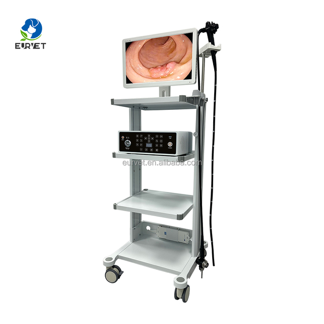 EUR PET Cheap Price Veterinary Laparoscopic 4k Hd Endoscopic Camera Machine Endoscopic System Tower for Medical Clinic