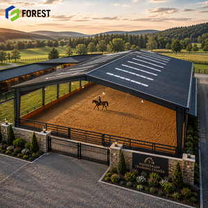 Structure modulaire en acier pour arène équestre, portée par une grue à poutre, à portée libre, pour pavillon de sport d'équitation couvert - Product Image 1