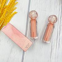 Gloss à lèvres liquide mat et brillant, haute pigmentation, hydratant, waterproof, 65 couleurs, marque privée
