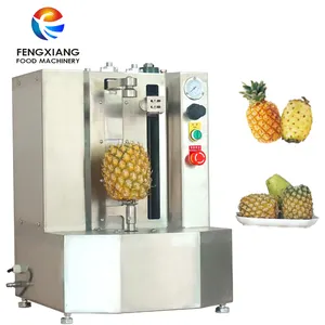 FXP-66S Fengxiang endüstriyel ananas soyucu makinesi kavun Papaya meyve soyma makinesi