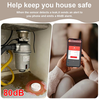 Détecteur de fuite d'eau Wi-Fi/RF 433 MHz avec surveillance à distance via application, capteur de fuite d'eau intelligent pour la maison