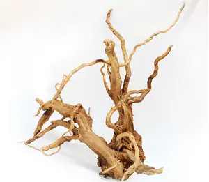 Paesaggistica serbatoio di pesce in legno muschio albero radici acquario in legno affusolato paesaggio naturale acqua erba colla decorazioni pianta