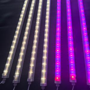 หลอดไฟปลูกสตรอว์เบอร์รีในร่ม 4 ฟุต 36 วัตต์ T8 แบบ 5 ช่อง สเปกตรัมเต็มรูปแบบ สำหรับการผลิตแนวตั้งเชิงพาณิชย์ - Product Image 5
