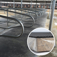 Logement de cabine d'équipement de vache laitière matelas en caoutchouc mousse de Latex de 30mm pour vache buffle taureau bovin chèvre cheval