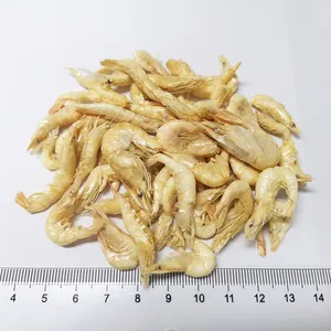 Arowana Cheap Arowana Food For Calcium Supplement Natural Arowana Fishes Dried Shrimp